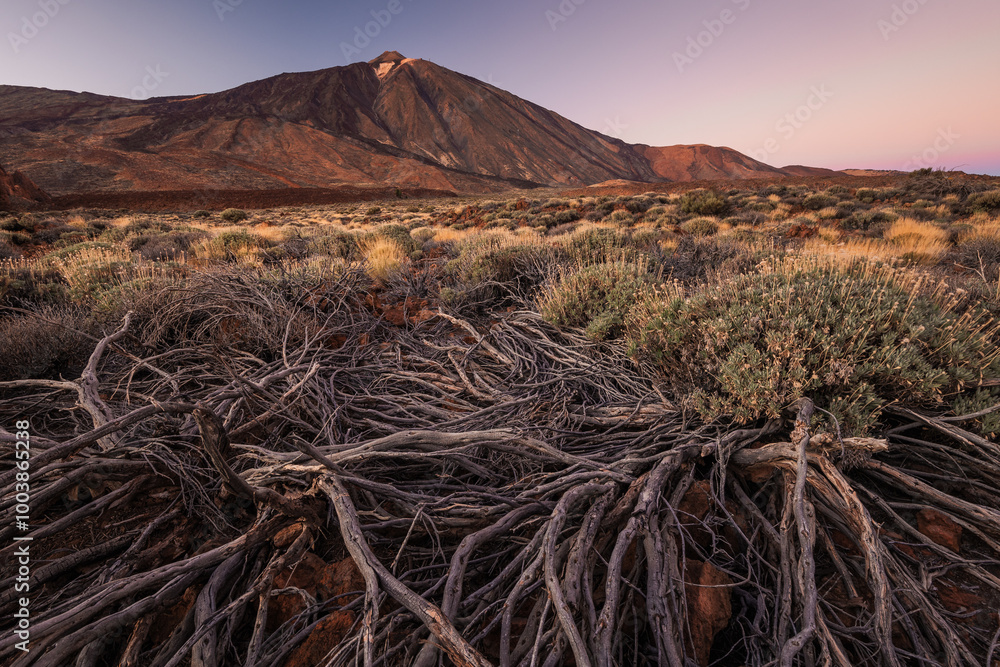 La Ruleta Vista Point with a spectacular views of Teide volcano. This is easy access place to see this mountain.