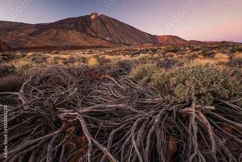 Obraz na płótnie La Ruleta Vista Point with a spectacular views of Teide volcano. This is easy access place to see this mountain. w salonie