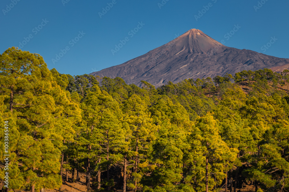 Teide volcano seen from the surrounding hills. Beautiful sunny weather favors such views.