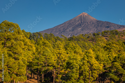 Obraz na płótnie Teide volcano seen from the surrounding hills. Beautiful sunny weather favors such views. w salonie