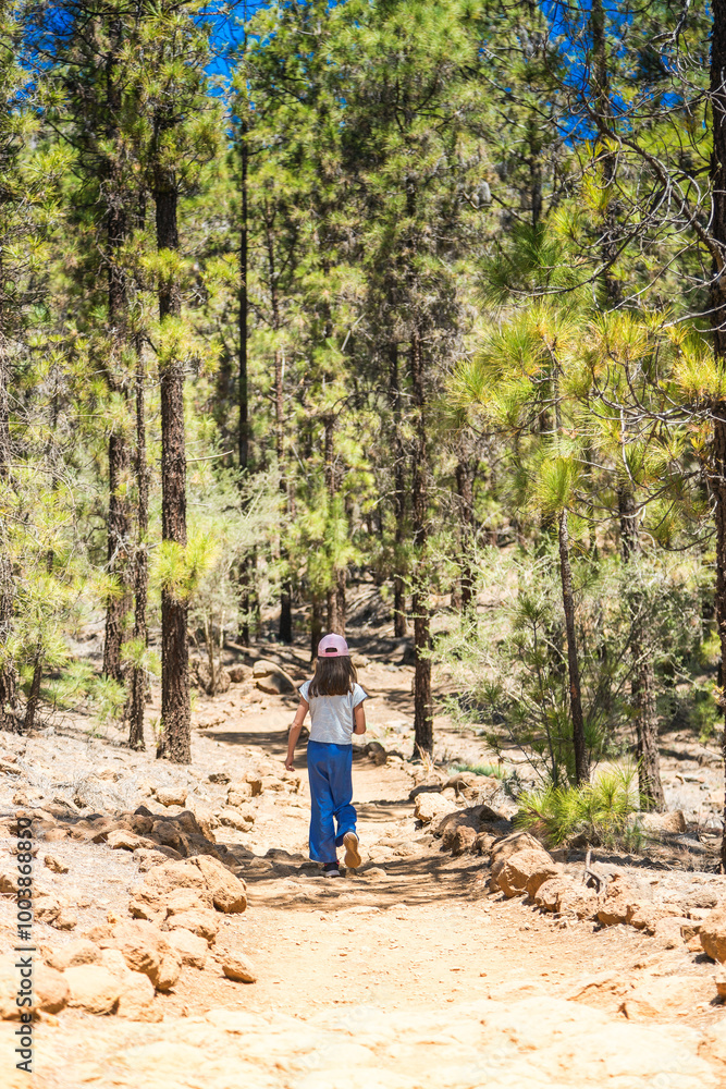 Back view of a little girl walking through a pine forest, a walking trail to Paisaje Lunar in Tenerife Back view of a little girl walking through a pine forest, a walking trail to Paisaje Lunar in Tenerife