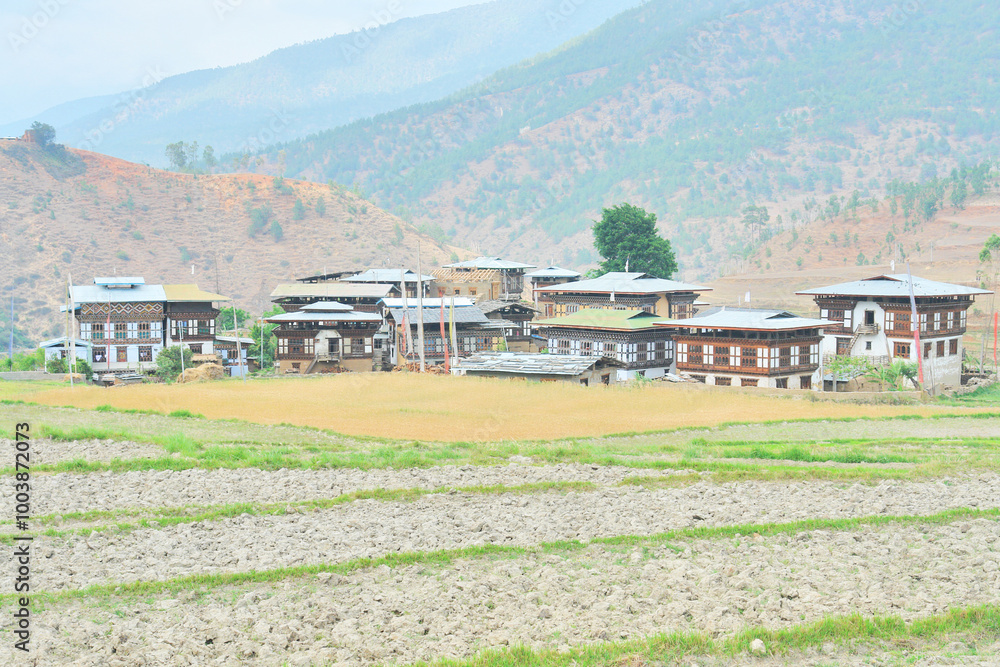 View of Bhutan villages located among fields View of Bhutan villages located among fields