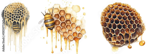 watercolor clipart white background Very detailed, very realistic, the honeycomb drips deliciously.