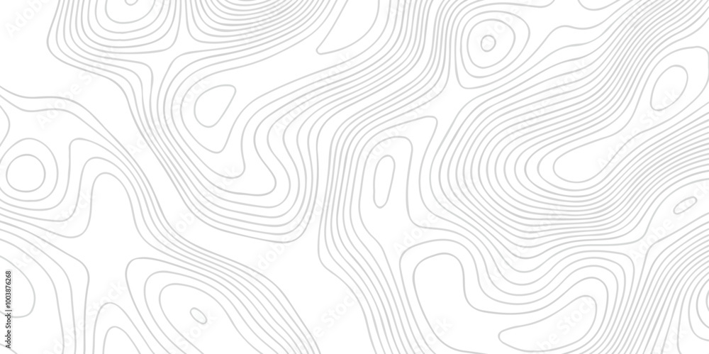 White wave paper curved reliefs abstract background. The topographic map contour in lines isolated. Abstract white topographic map background with lines. Background of the topography map. White wave paper curved reliefs abstract background. The topographic map contour in lines isolated. Abstract white topographic map background with lines. Background of the topography map.
