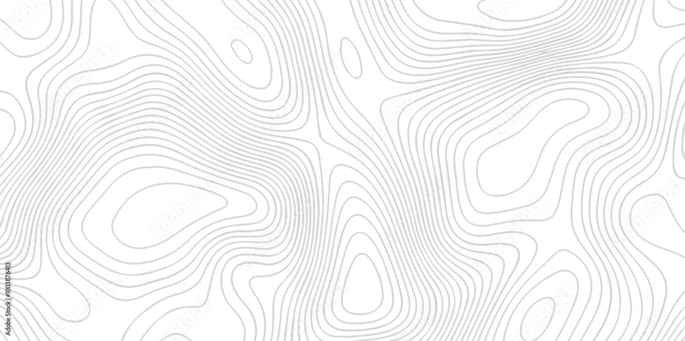 White wave paper curved reliefs abstract background. The topographic map contour in lines isolated. Abstract white topographic map background with lines. Background of the topography map. White wave paper curved reliefs abstract background. The topographic map contour in lines isolated. Abstract white topographic map background with lines. Background of the topography map.