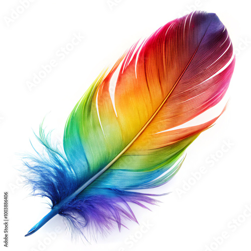 colorful feathers backgroundwave, light, design, wallpaper, illustration, blue, curve, motion, vector, backdrop, art, flow, color, lines, pattern, effect, concept, waves, glow, line, flowing, black, d photo