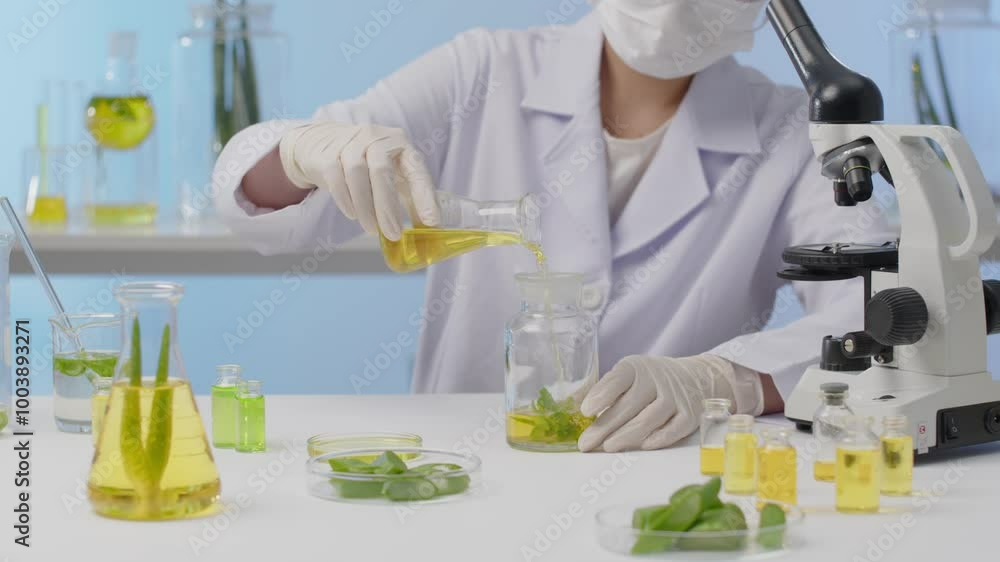 A lab template video shows a scientist pouring a yellow liquid into a glass container of aloe vera, surrounded by a green liquid and aloe vera leaves on a table. A lab template video shows a scientist pouring a yellow liquid into a glass container of aloe vera, surrounded by a green liquid and aloe vera leaves on a table.