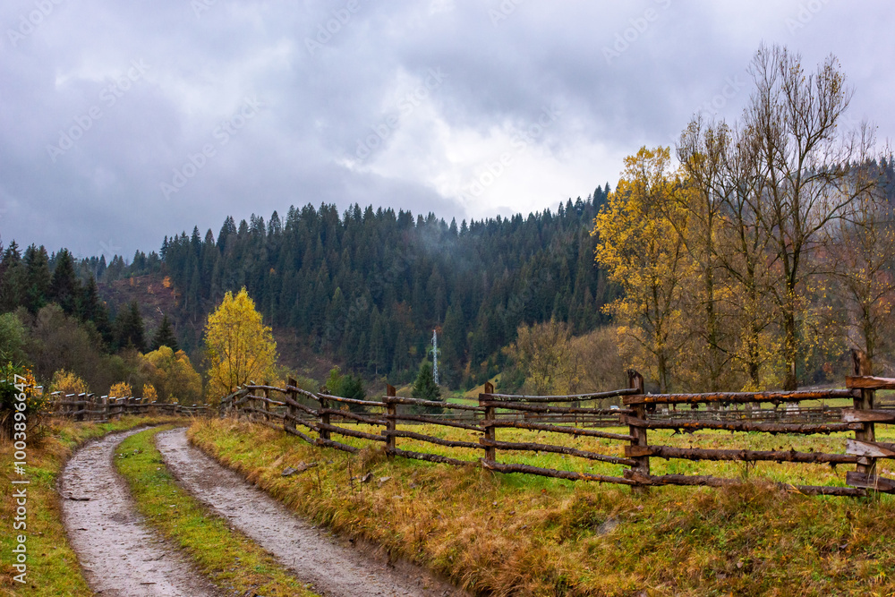 dirt road through rural landscape in autumn. rainy weather. mountainous carpathian countryside in fall season. overcast sky. fence along the path. no escape