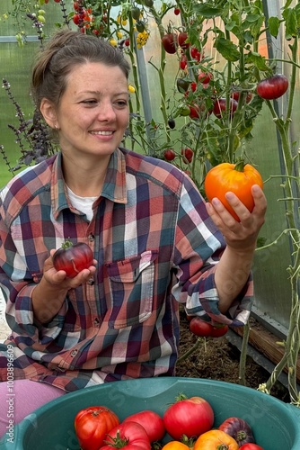  woman farmer picking tomatoes greenhouse