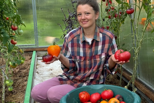  woman farmer picking tomatoes greenhouse