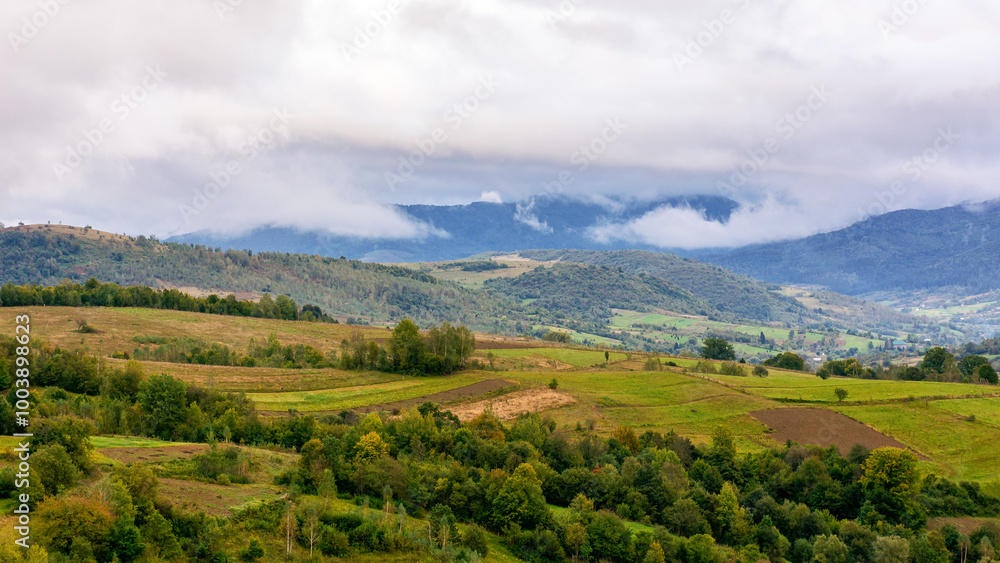 Obraz premium mountainous rural landscape on a rainy day in autumn. fields and trees on rolling hills beneath an overcast sky