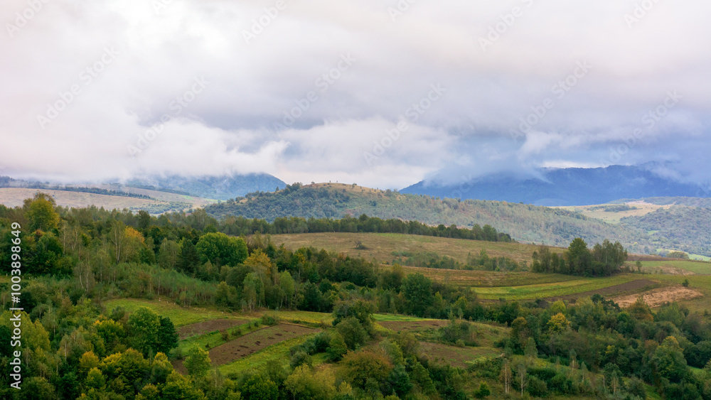 mountainous rural landscape on a rainy day in autumn. fields and trees on rolling hills beneath an overcast sky mountainous rural landscape on a rainy day in autumn. fields and trees on rolling hills beneath an overcast sky