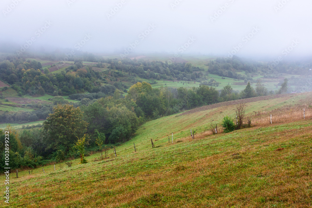 Obraz premium rural scenery with field on the hill. foggy weather. mountainous countryside landscape in autumn. forested slopes. transcarpathian region of ukraine in fall season
