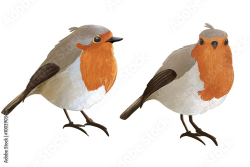 Εκτύπωση καμβά Robin bird on transparent background from different angles in watercolor style