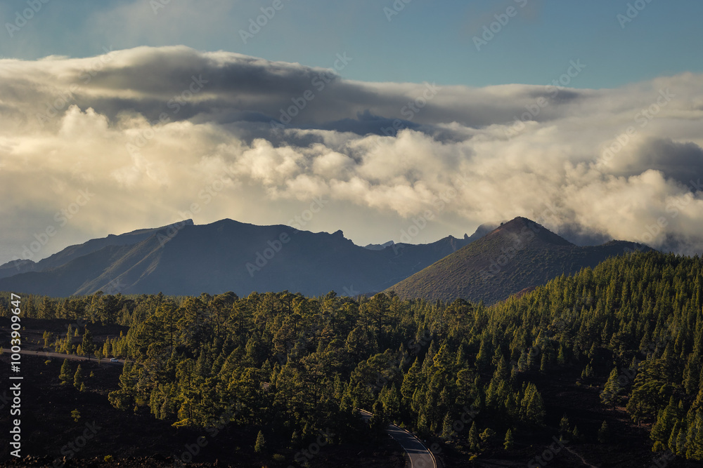 Volcanic landscape of Tenerife island with Teide in the background.