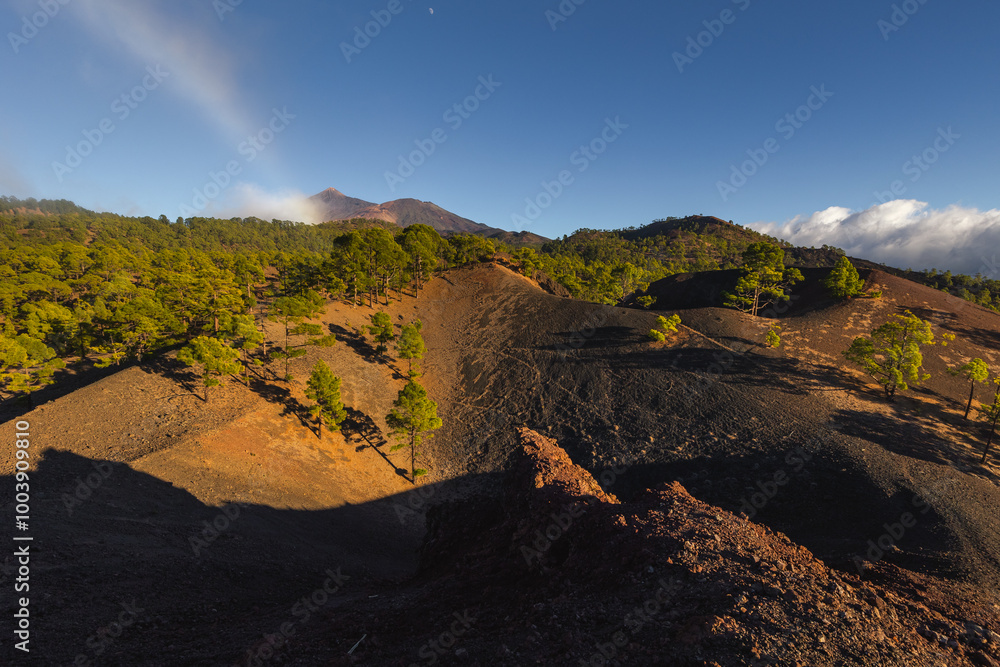 Volcanic landscape of Tenerife island with Teide in the background.