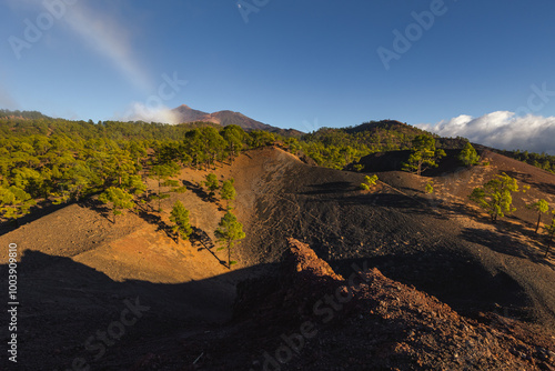 Volcanic landscape of Tenerife island with Teide in the background.