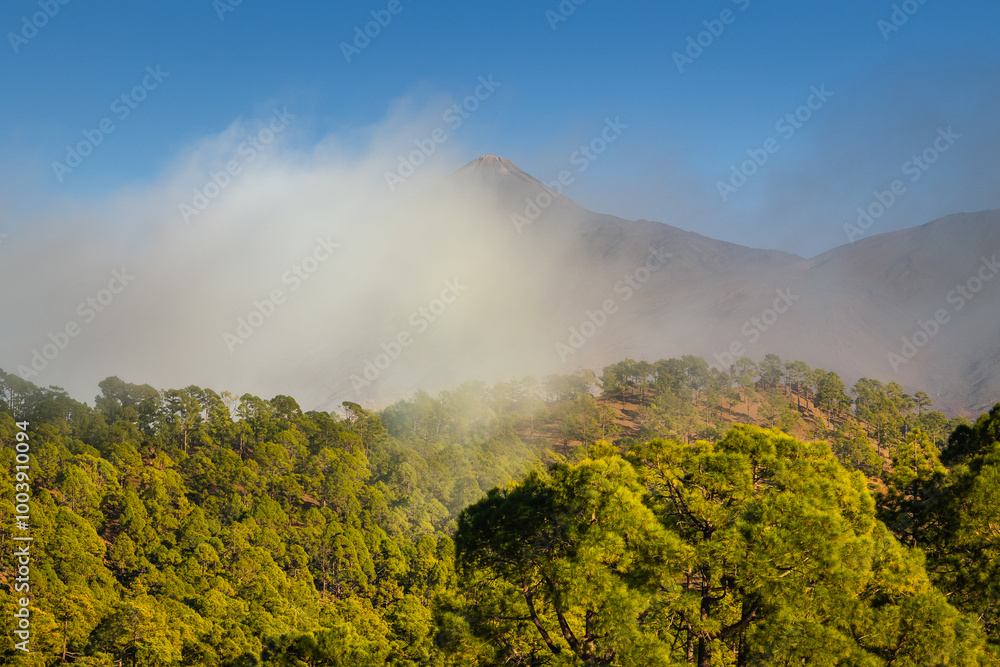 Volcanic landscape of Tenerife island with Teide in the background.