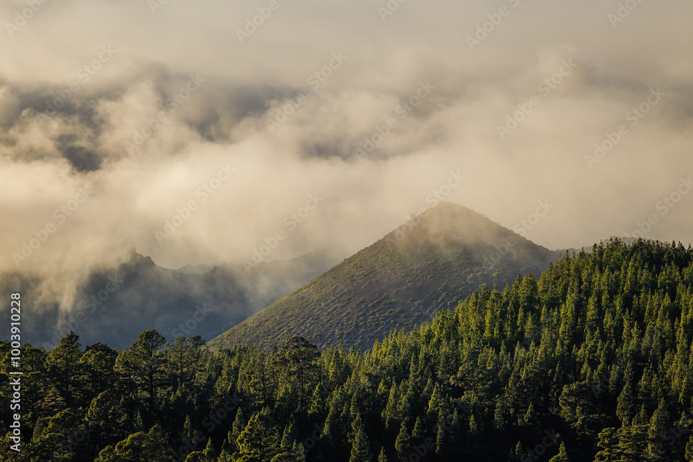 Volcanic landscape of Tenerife island with Teide in the background.