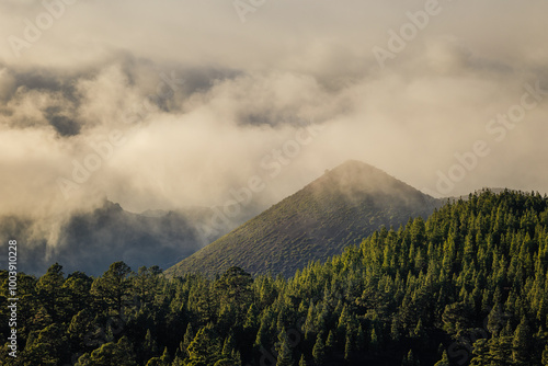 Obraz na płótnie Volcanic landscape of Tenerife island with Teide in the background. w salonie