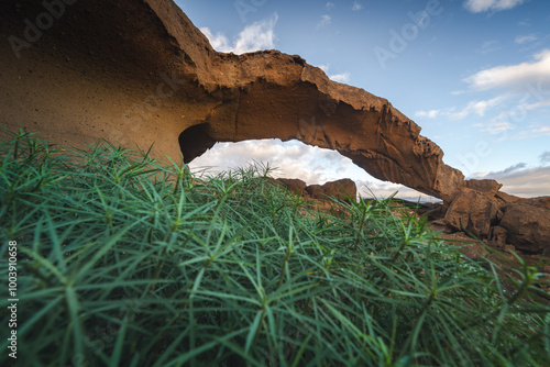 Obraz na płótnie Arco de Tajao in Tenerife captured in sunny day. Canary Islands. w salonie