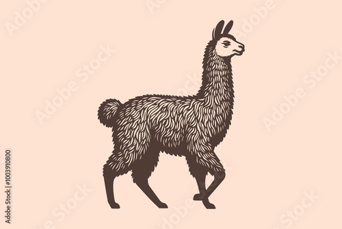 Beautiful llama. Simple vintage engraving vector illustration. Emblem, logo, print, tattoo