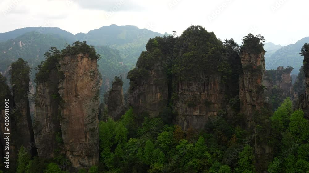 Panning right shot of Five Fingers Peak and other rock formations in Huangshi Village, Zhangjiajie, China Panning right shot of Five Fingers Peak and other rock formations in Huangshi Village, Zhangjiajie, China