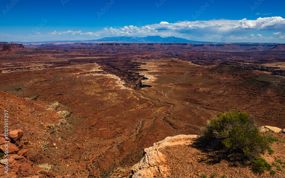 The Buck Canyon Overlook in the Island in the sky district of Canyonlands National Park Utah USA.