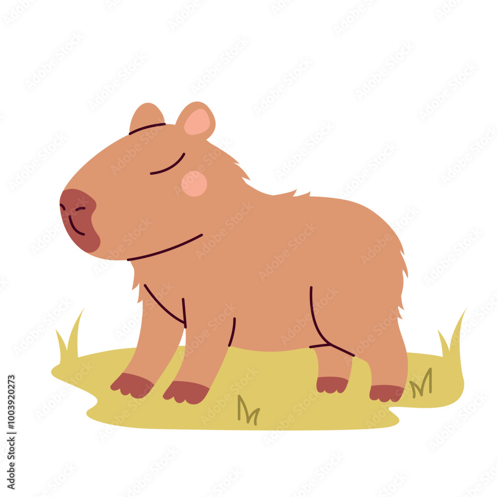 Capybara on green lawn  isolated on white background. Cute animal. Funny animal character.