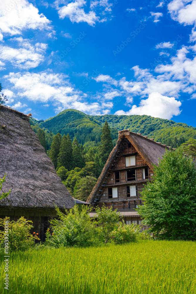【縦写真】白川郷の美しい風景 【縦写真】白川郷の美しい風景