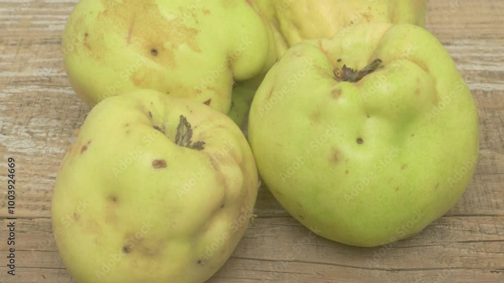 A beautiful display of fresh Quince fruits resting elegantly on a rustic wooden surface A beautiful display of fresh Quince fruits resting elegantly on a rustic wooden surface
