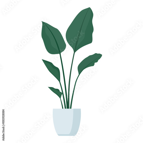 Beautiful decorative potted lush plant