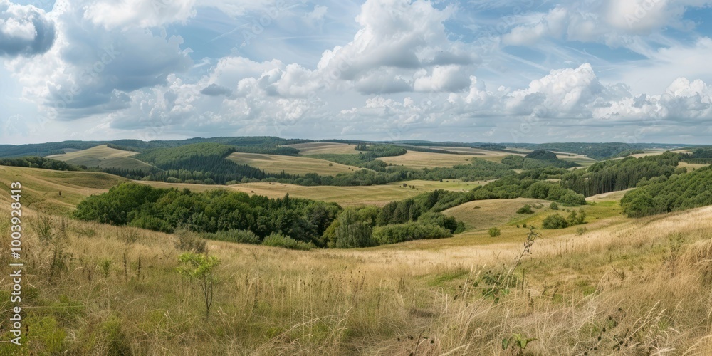 Eastern European Landscape: A panoramic view of the Eastern European countryside with rolling hills and forests Eastern European Landscape: A panoramic view of the Eastern European countryside with rolling hills and forests