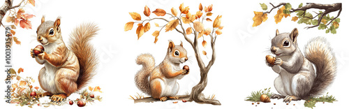 Three adorable squirrels collecting acorns autumn leaves transparent background