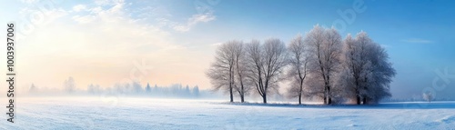 Serene winter landscape featuring frosted trees against a clear blue sky, with soft sunlight illuminating a pristine snowfield.