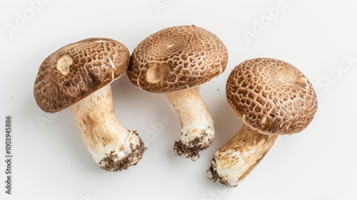 Three mushrooms are sitting on a white background