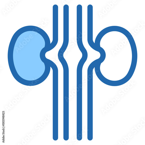 Vector Icon Kidney, Urologist, Organ, Anatomy, Kidneys