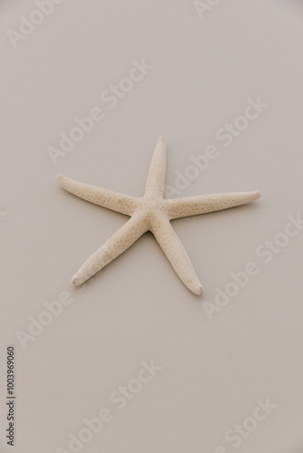 Beige starfish lying on a light grey table top.