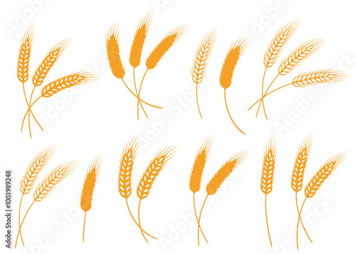 food set of wheat, barley, rye spikelets and ears