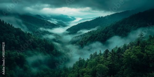 Misty mountain valley overlook in serene forested landscape at dawn