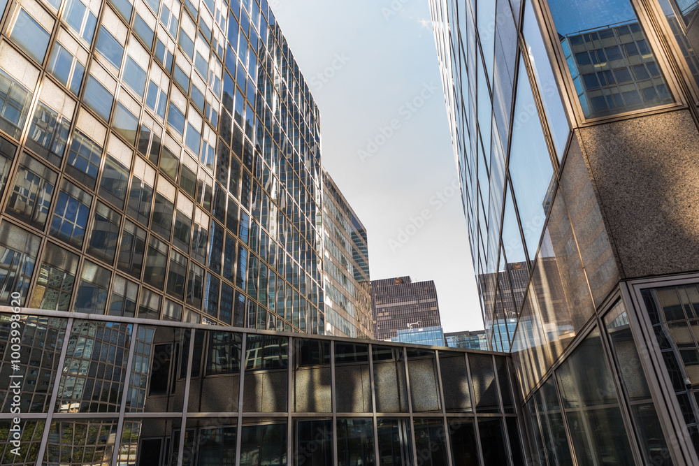 Fototapeta premium modern office building in the city