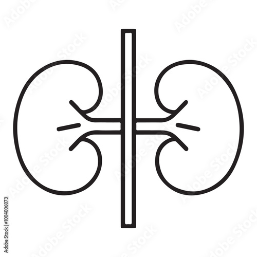 Kidney icon vector silhouette outline.