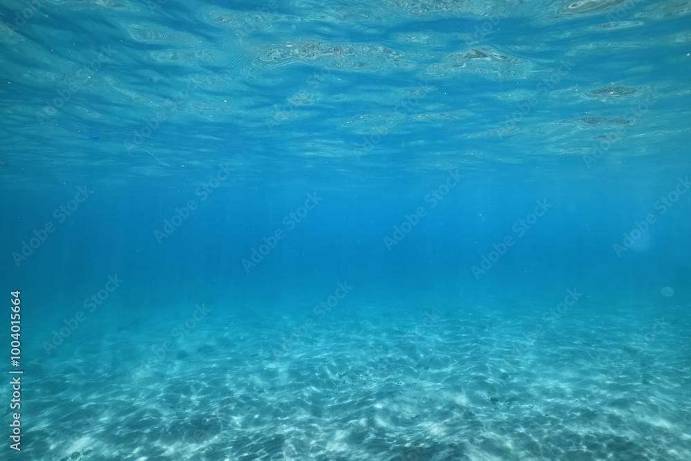 texture ocean floor background underwater surface texture ocean floor background underwater surface