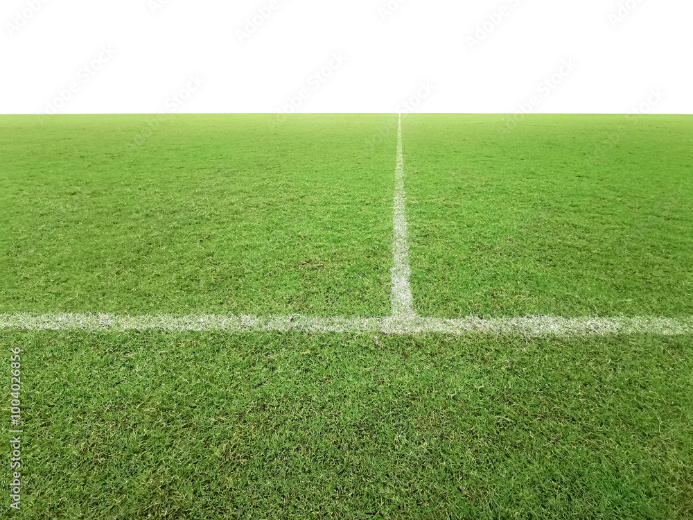 Obraz premium Soccer line in green grass of soccer field