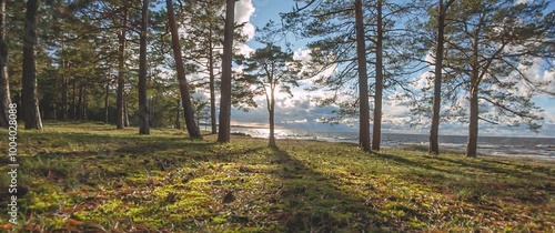 A forest park near the seashore.
