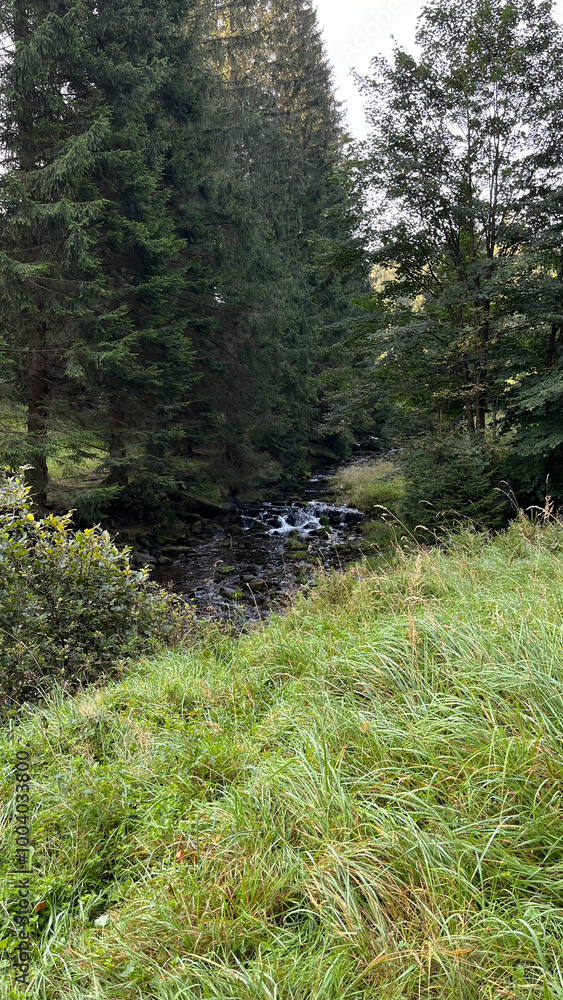 A small mountain river with a flow of water in the Polish mountains. Eastern Sudetes A small mountain river with a flow of water in the Polish mountains. Eastern Sudetes