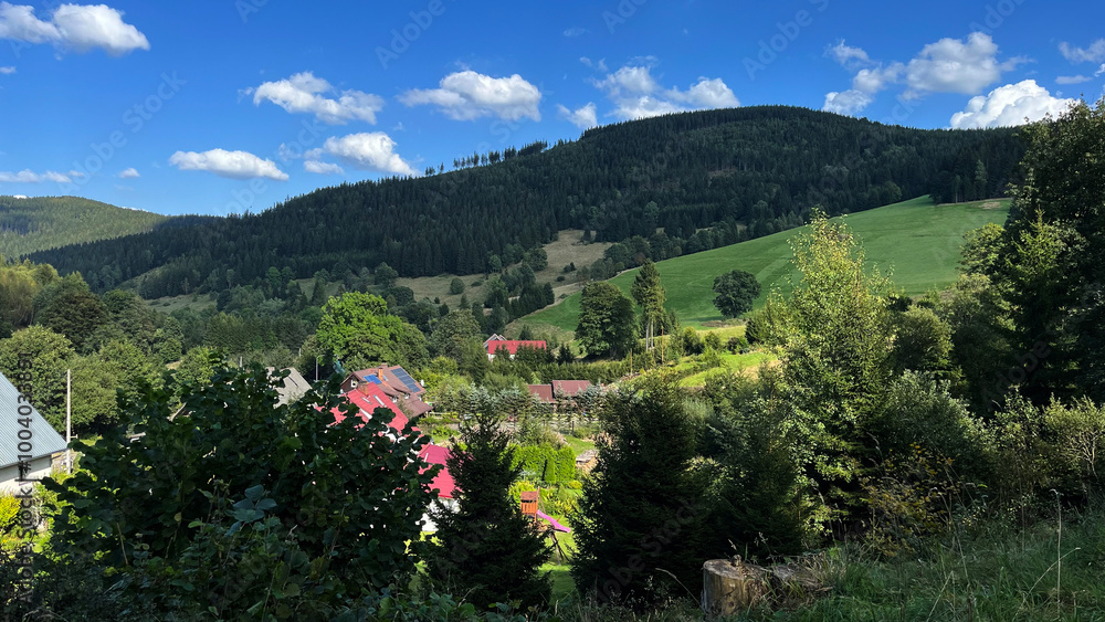 Obraz premium Panoramic view of a mountain village with houses in a mountain Polish valley. Bielice