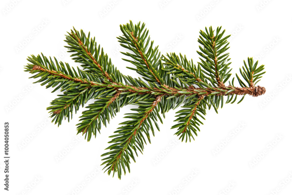 christmas tree branches christmas tree branches
