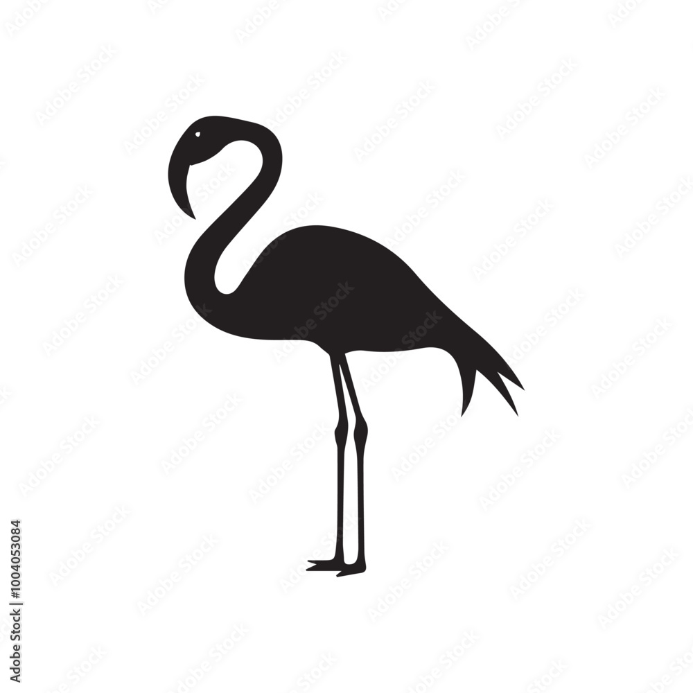 Flamingo Standing silhouette design, Flamingo vector illustration
Flamingo Standing silhouette design, Flamingo vector illustration
