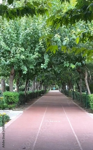 alley in the park